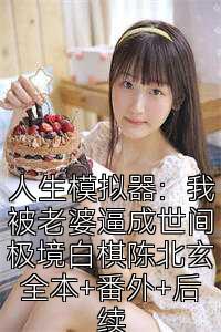 人生模拟器：我被老婆逼成世间极境白棋陈北玄全本+番外+后续