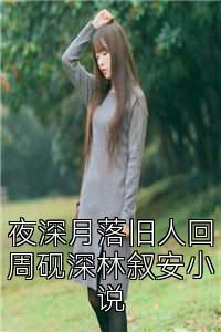 夜深月落舊人回周硯深林敘安小說