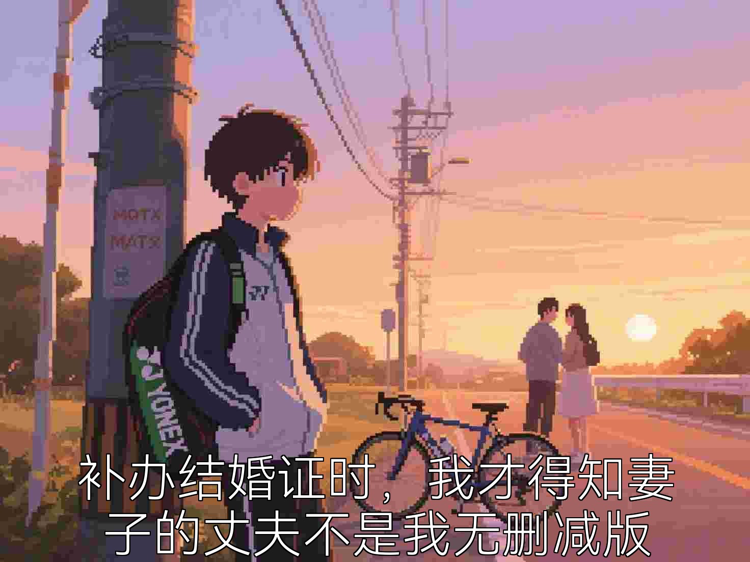 補辦結婚證時，我才得知妻子的丈夫不是我無刪減版